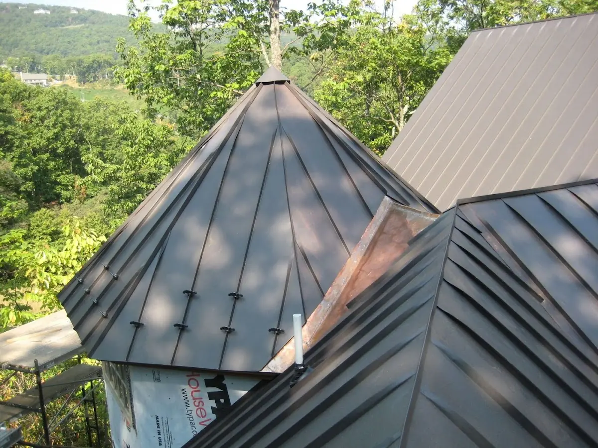 Professional Gutter Cleaning by Craftsman Roofing in Carmenita